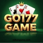 GO177 Game