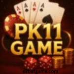 PK11 Game
